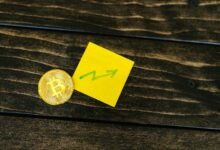 best investment for future