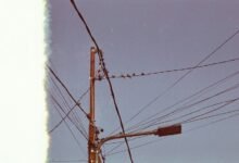 customer support phone number