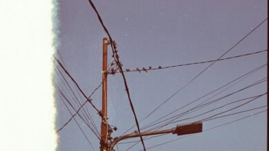 support line for inquiries