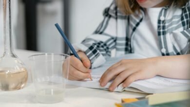 elite commercial intelligence forecast