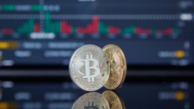 global market opportunity assessment